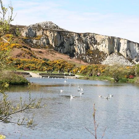 Swn Y Nant Villa Holyhead Eksteriør billede