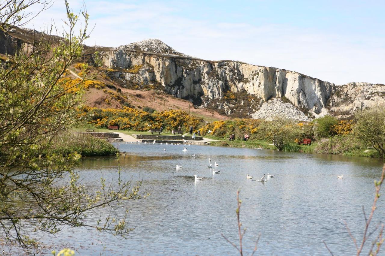 Swn Y Nant Villa Holyhead Eksteriør billede